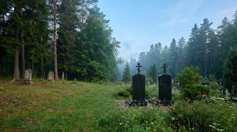 Гранитный памятник на Мехзаводском кладбище в Самаре среди деревьев