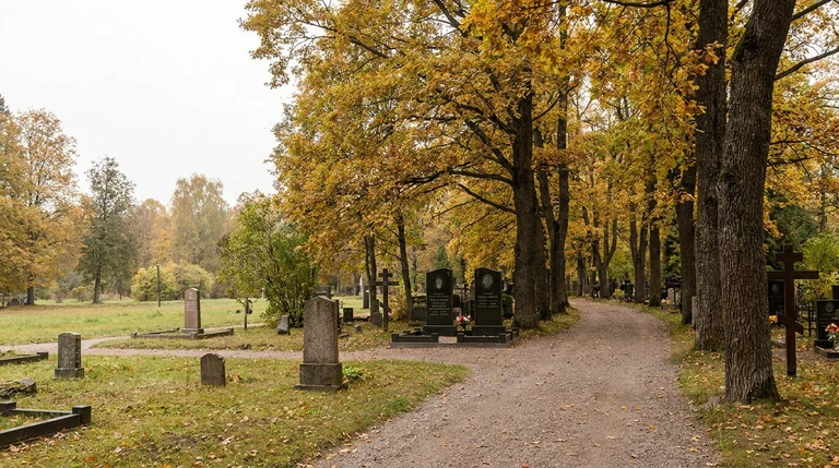 Гранитный памятник на Ново-Богородском кладбище восточнее Москвы